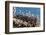 California brown pelicans, Pelecanus occidentalis, Avila Beach, California, USA-Russ Bishop-Framed Photographic Print