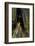 California. Burned Out Redwood and New Growth, Lady Bird Johnson Grove-Judith Zimmerman-Framed Photographic Print