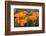 California. California Poppies, and Goldfields Blooming in Early Spring in Antelope Valley-Judith Zimmerman-Framed Photographic Print