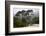 California, Carmel by the Sea. Coastal Trees of Carmel by the Sea-Kymri Wilt-Framed Photographic Print