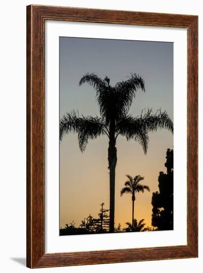 California, Carpinteria, Palm Tree Silhouettes at Sunset-Alison Jones-Framed Photographic Print