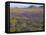 California, Carrizo Plain National Monument-John Barger-Framed Premier Image Canvas