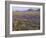 California, Carrizo Plain National Monument-John Barger-Framed Photographic Print