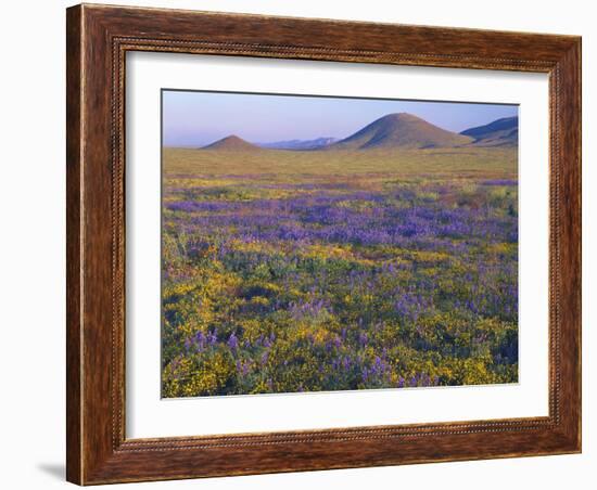 California, Carrizo Plain National Monument-John Barger-Framed Photographic Print