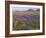 California, Carrizo Plain National Monument-John Barger-Framed Photographic Print