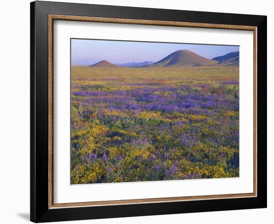 California, Carrizo Plain National Monument-John Barger-Framed Photographic Print