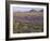 California, Carrizo Plain National Monument-John Barger-Framed Photographic Print