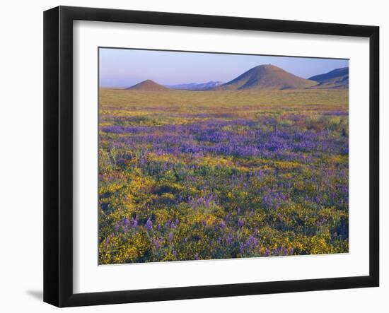 California, Carrizo Plain National Monument-John Barger-Framed Photographic Print