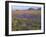 California, Carrizo Plain National Monument-John Barger-Framed Photographic Print