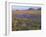 California, Carrizo Plain National Monument-John Barger-Framed Photographic Print