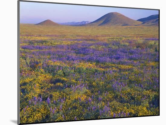 California, Carrizo Plain National Monument-John Barger-Mounted Photographic Print