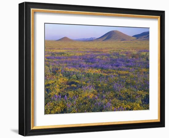 California, Carrizo Plain National Monument-John Barger-Framed Photographic Print