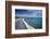 California Central Coast, San Simeon, William Randolph Hearst Memorial Beach-David Wall-Framed Photographic Print