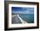 California Central Coast, San Simeon, William Randolph Hearst Memorial Beach-David Wall-Framed Photographic Print