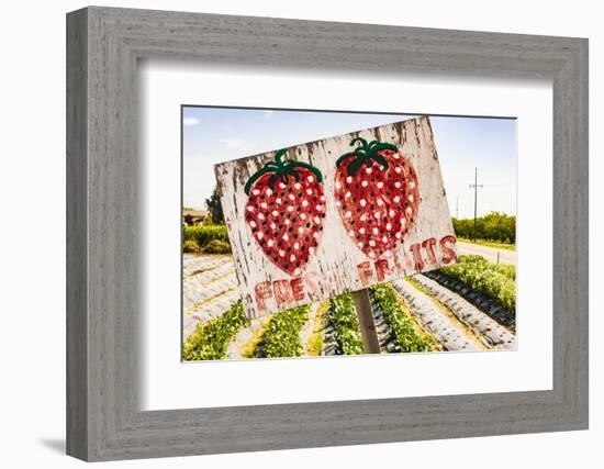 California, Central Valley, San Joaquin River Valley, Modesto, Aan Saechao's garden-Alison Jones-Framed Photographic Print