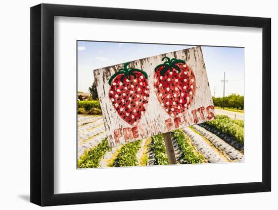 California, Central Valley, San Joaquin River Valley, Modesto, Aan Saechao's garden-Alison Jones-Framed Photographic Print