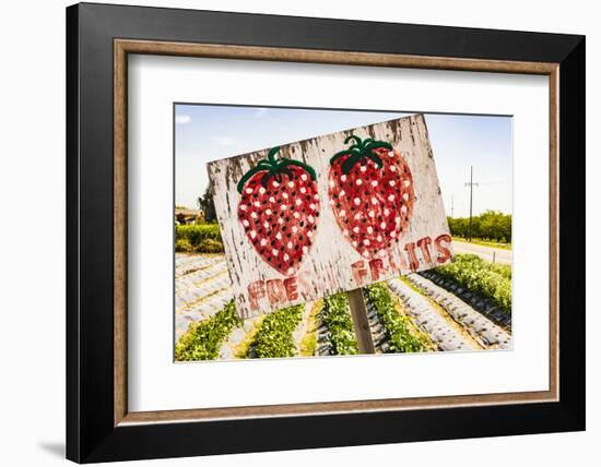 California, Central Valley, San Joaquin River Valley, Modesto, Aan Saechao's garden-Alison Jones-Framed Photographic Print