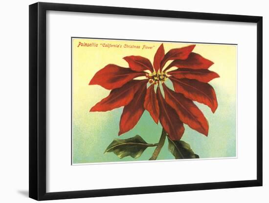 California Christmas, Poinsettia-null-Framed Art Print