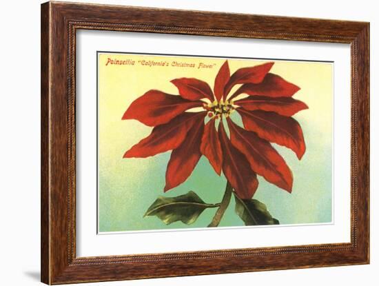California Christmas, Poinsettia-null-Framed Art Print