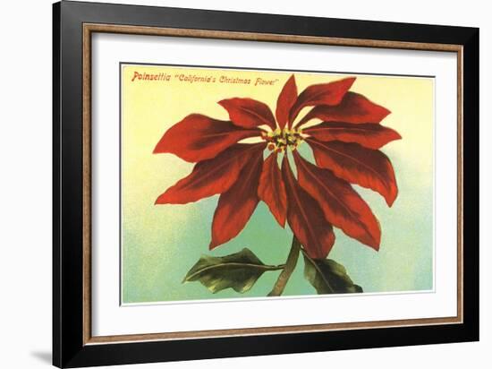 California Christmas, Poinsettia-null-Framed Art Print