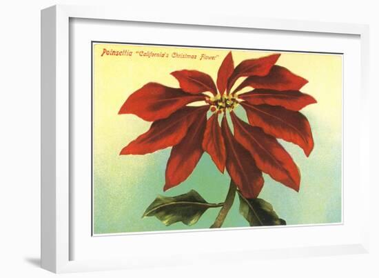 California Christmas, Poinsettia-null-Framed Art Print