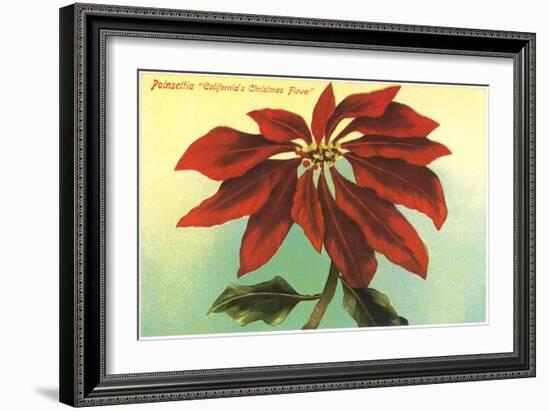 California Christmas, Poinsettia-null-Framed Art Print