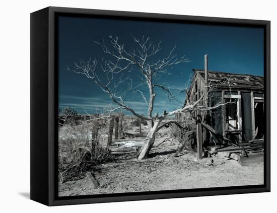 California, Cima, Mojave National Preserve, Abandoned Mojave Desert Ranch, Winter, USA-Walter Bibikow-Framed Premier Image Canvas