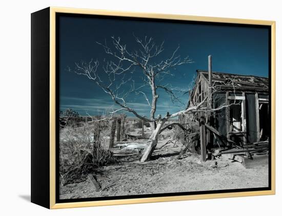 California, Cima, Mojave National Preserve, Abandoned Mojave Desert Ranch, Winter, USA-Walter Bibikow-Framed Premier Image Canvas