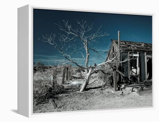 California, Cima, Mojave National Preserve, Abandoned Mojave Desert Ranch, Winter, USA-Walter Bibikow-Framed Premier Image Canvas