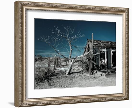 California, Cima, Mojave National Preserve, Abandoned Mojave Desert Ranch, Winter, USA-Walter Bibikow-Framed Photographic Print