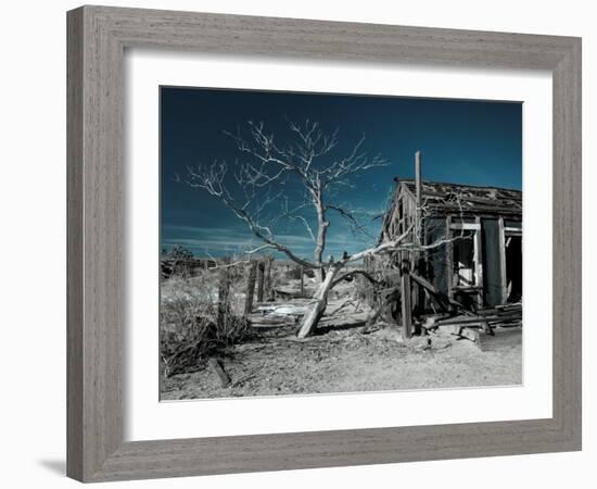 California, Cima, Mojave National Preserve, Abandoned Mojave Desert Ranch, Winter, USA-Walter Bibikow-Framed Photographic Print