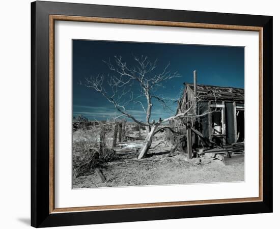 California, Cima, Mojave National Preserve, Abandoned Mojave Desert Ranch, Winter, USA-Walter Bibikow-Framed Photographic Print