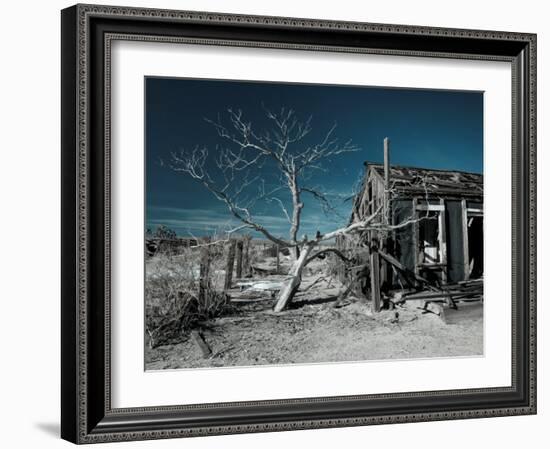 California, Cima, Mojave National Preserve, Abandoned Mojave Desert Ranch, Winter, USA-Walter Bibikow-Framed Photographic Print