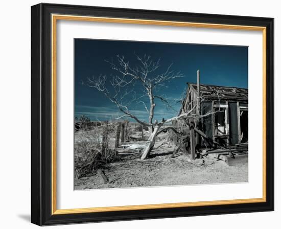 California, Cima, Mojave National Preserve, Abandoned Mojave Desert Ranch, Winter, USA-Walter Bibikow-Framed Photographic Print