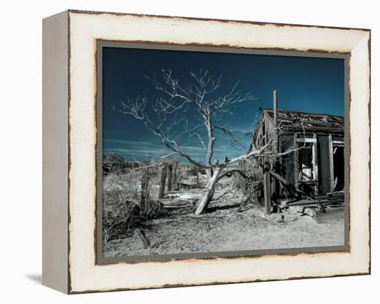 California, Cima, Mojave National Preserve, Abandoned Mojave Desert Ranch, Winter, USA-Walter Bibikow-Framed Premier Image Canvas