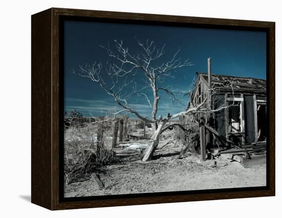 California, Cima, Mojave National Preserve, Abandoned Mojave Desert Ranch, Winter, USA-Walter Bibikow-Framed Premier Image Canvas