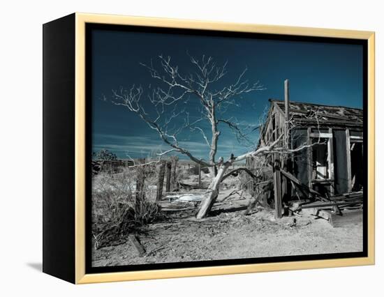 California, Cima, Mojave National Preserve, Abandoned Mojave Desert Ranch, Winter, USA-Walter Bibikow-Framed Premier Image Canvas