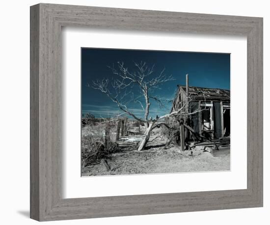 California, Cima, Mojave National Preserve, Abandoned Mojave Desert Ranch, Winter, USA-Walter Bibikow-Framed Photographic Print