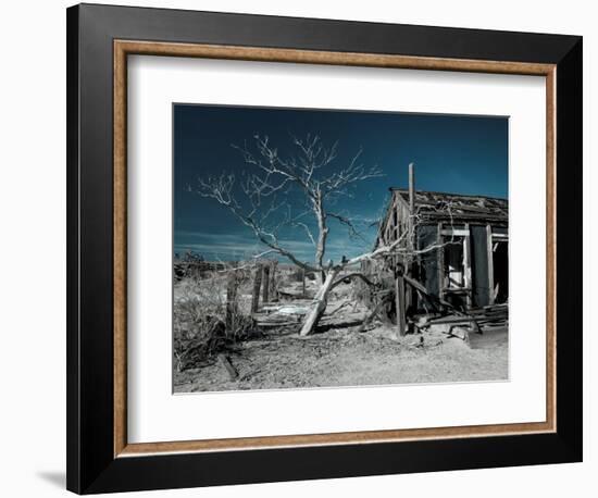 California, Cima, Mojave National Preserve, Abandoned Mojave Desert Ranch, Winter, USA-Walter Bibikow-Framed Photographic Print