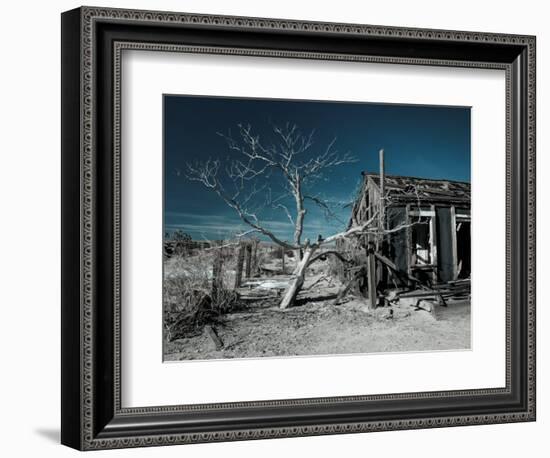 California, Cima, Mojave National Preserve, Abandoned Mojave Desert Ranch, Winter, USA-Walter Bibikow-Framed Photographic Print