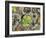 California, Cleveland NF, Acorns and Black Oak Leaves on a A Rock-Christopher Talbot Frank-Framed Photographic Print