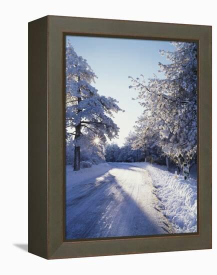 California, Cleveland Nf, Laguna Mts, Winter Morning Along a Highway-Christopher Talbot Frank-Framed Premier Image Canvas