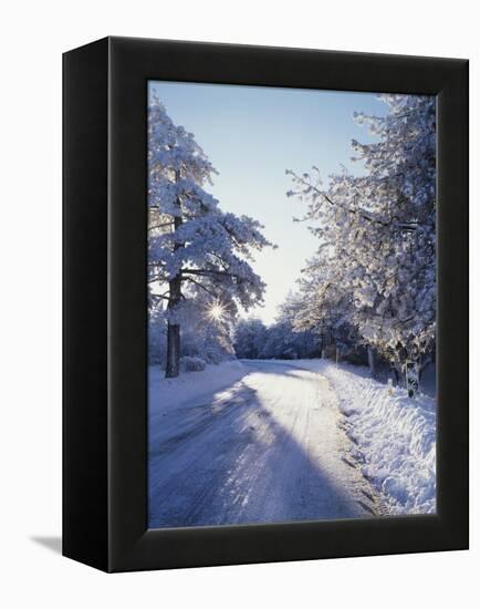 California, Cleveland Nf, Laguna Mts, Winter Morning Along a Highway-Christopher Talbot Frank-Framed Premier Image Canvas