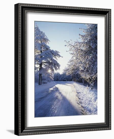 California, Cleveland Nf, Laguna Mts, Winter Morning Along a Highway-Christopher Talbot Frank-Framed Photographic Print