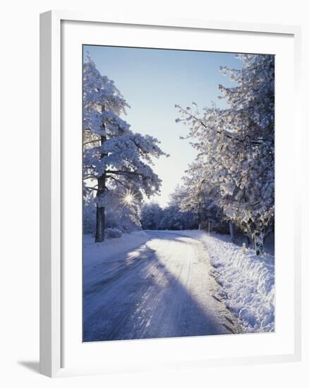 California, Cleveland Nf, Laguna Mts, Winter Morning Along a Highway-Christopher Talbot Frank-Framed Photographic Print