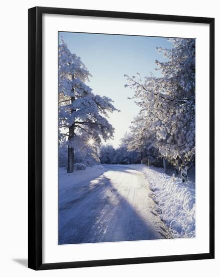 California, Cleveland Nf, Laguna Mts, Winter Morning Along a Highway-Christopher Talbot Frank-Framed Photographic Print