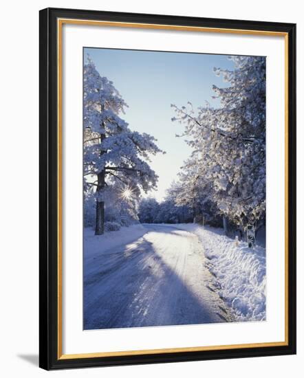 California, Cleveland Nf, Laguna Mts, Winter Morning Along a Highway-Christopher Talbot Frank-Framed Photographic Print