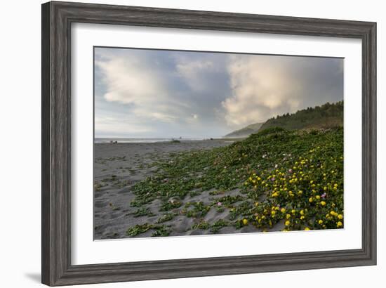 California Coast-wollertz-Framed Photographic Print