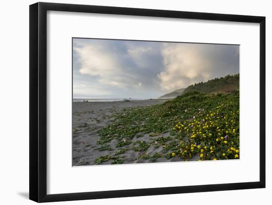 California Coast-wollertz-Framed Photographic Print