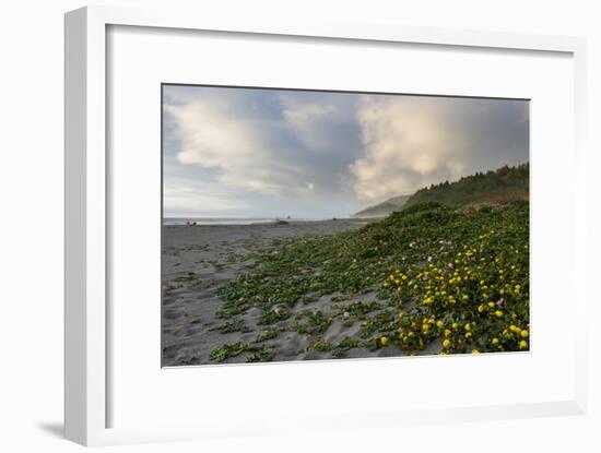 California Coast-wollertz-Framed Photographic Print